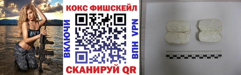 Купить закладки  Балей  COCAIN FishScale 
