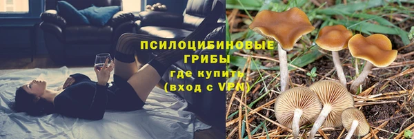 мет Кинешма